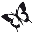 Vlinder